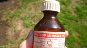 Житель Запорожья выпил нашатырный спирт: его спасали медики