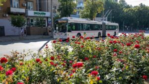 В Запорожье возобновили бесплатный проезд в общественном транспорте для льготников