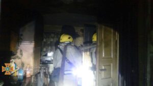 У Запорізькій області сталася сильна пожежа в житловому будинку