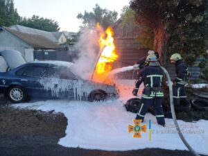В Бердянске спасатели потушили горящее авто