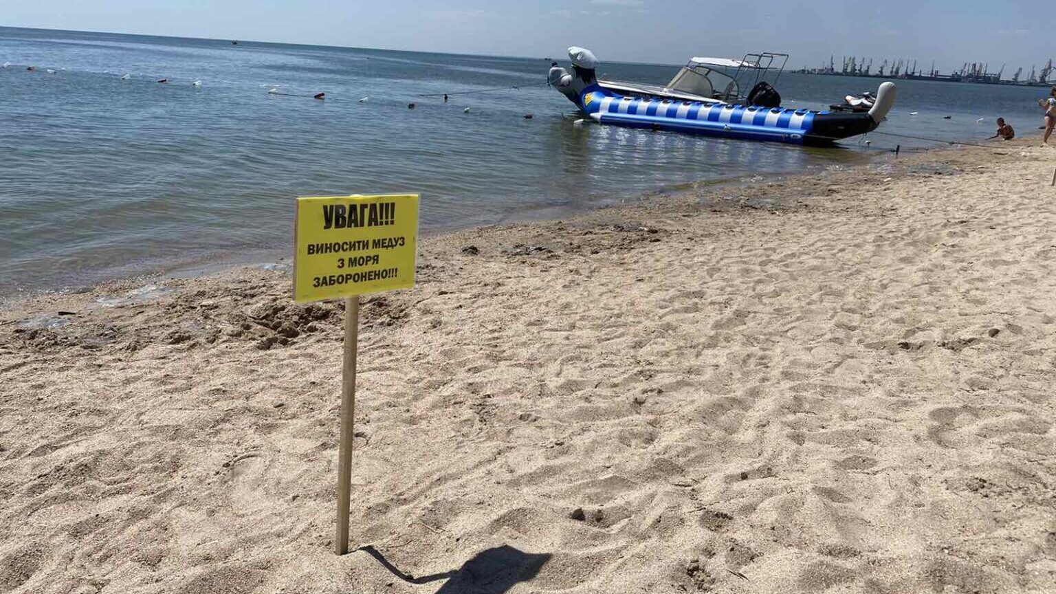 На запорожском курорте отдыхающим запретили выносить с моря медуз