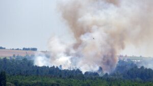 В Запорожье на Хортице начался большой пожар: подозревают поджог, – ФОТО