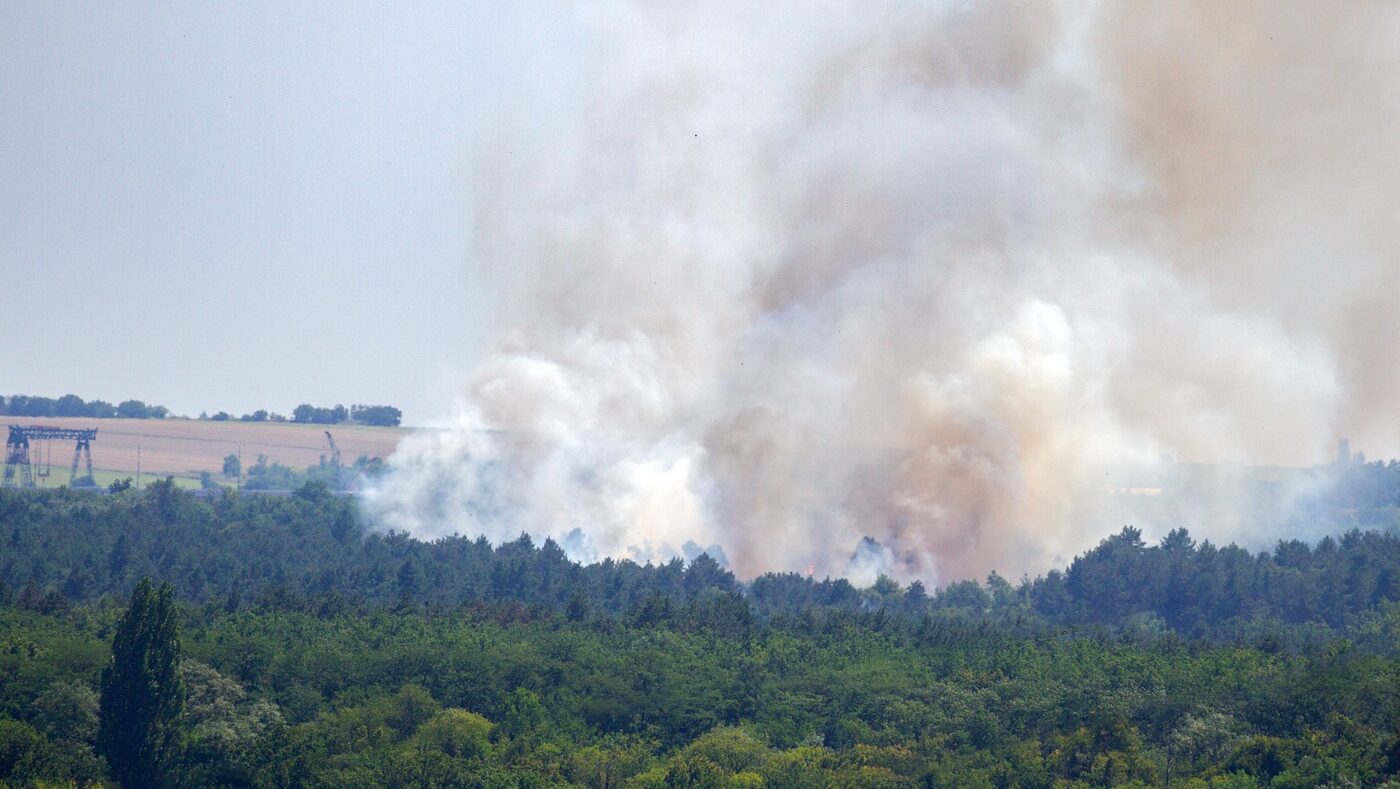 В Запорожье на Хортице из-за масштабного пожара сгорел гектар леса: погибли сотни животных и растений, – ВИДЕО