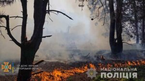У Запоріжжі поліція встановлює причини великої пожежі на Хортиці, – ФОТО  