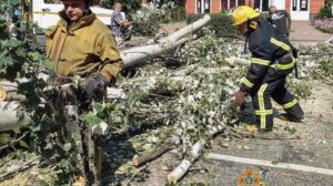 В Запорожской области дерево упало на дорогу: 5 ГСЧС-ников ликвидировали проблему, — ФОТО