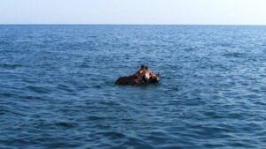На запорізькому курорті двох дітей віднесло на матраці у відкрите море 