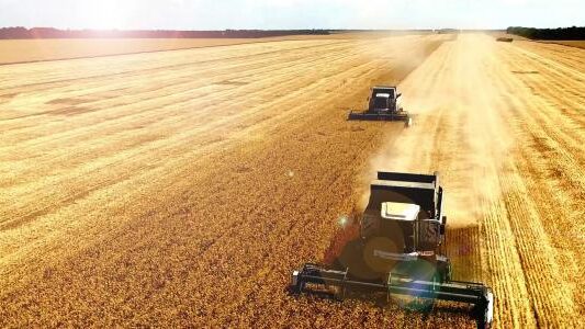  У Запорізькій області зібрали вже другий мільйон тонн нового врожаю 
