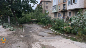 Дерева, що впали і затоплені будинки: в Запорізькій області усувають наслідки негоди, - ФОТО
