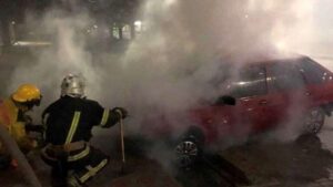 В Мелитопольском районе посреди ночи горело авто, — ФОТО