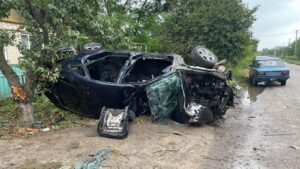 В Запорожской области пьяный водитель влетел в дерево: один из пассажиров погиб