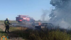 В Запорожской области загорелось авто: огонь за считанные минуты уничтожил машину, - ФОТО