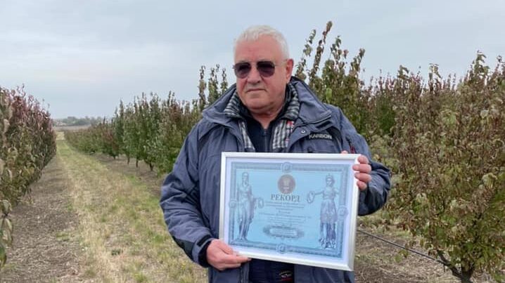 Кизиловый сад в Запорожской области установил рекорд Украины, – ФОТО