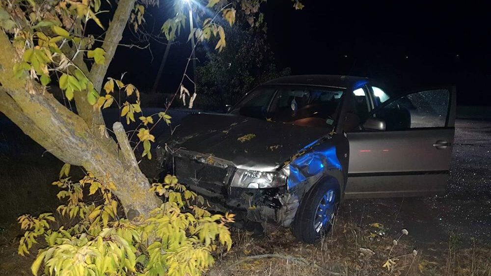 В Запорожской области произошло смертельное ДТП: погиб 20-летний пассажир, – ФОТО