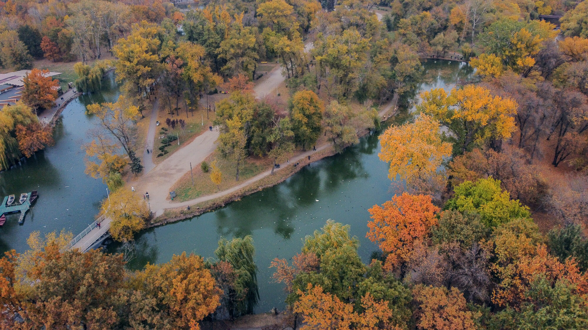 В сети появились захватывающие фото главного парка Запорожья с высоты