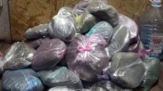Бидоны и мешки с марихуаной: у жителя Запорожской области нашли наркотиков на полмиллиона гривен, - ФОТО