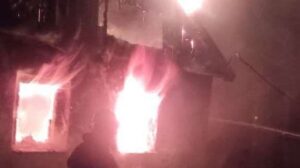 У Запорізькій області в пожежі у власному будинку загинув чоловік, – ФОТО  