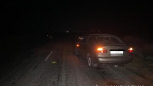 В Запорізькій області в аварію потрапив 19-річний хлопець, який пізніше помер у лікарні
