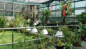 Запорізький ботанічний сад знову відкритий для відвідувачів