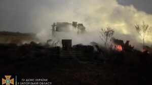 Понад годину в Запорізькій області рятувальники гасили пожежу на приватній території
