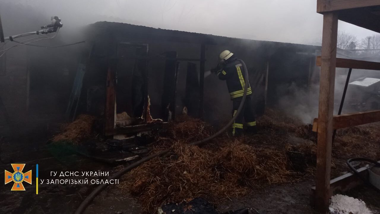 В Запорожской области в результате пожара травмировалась женщина, - ФОТО