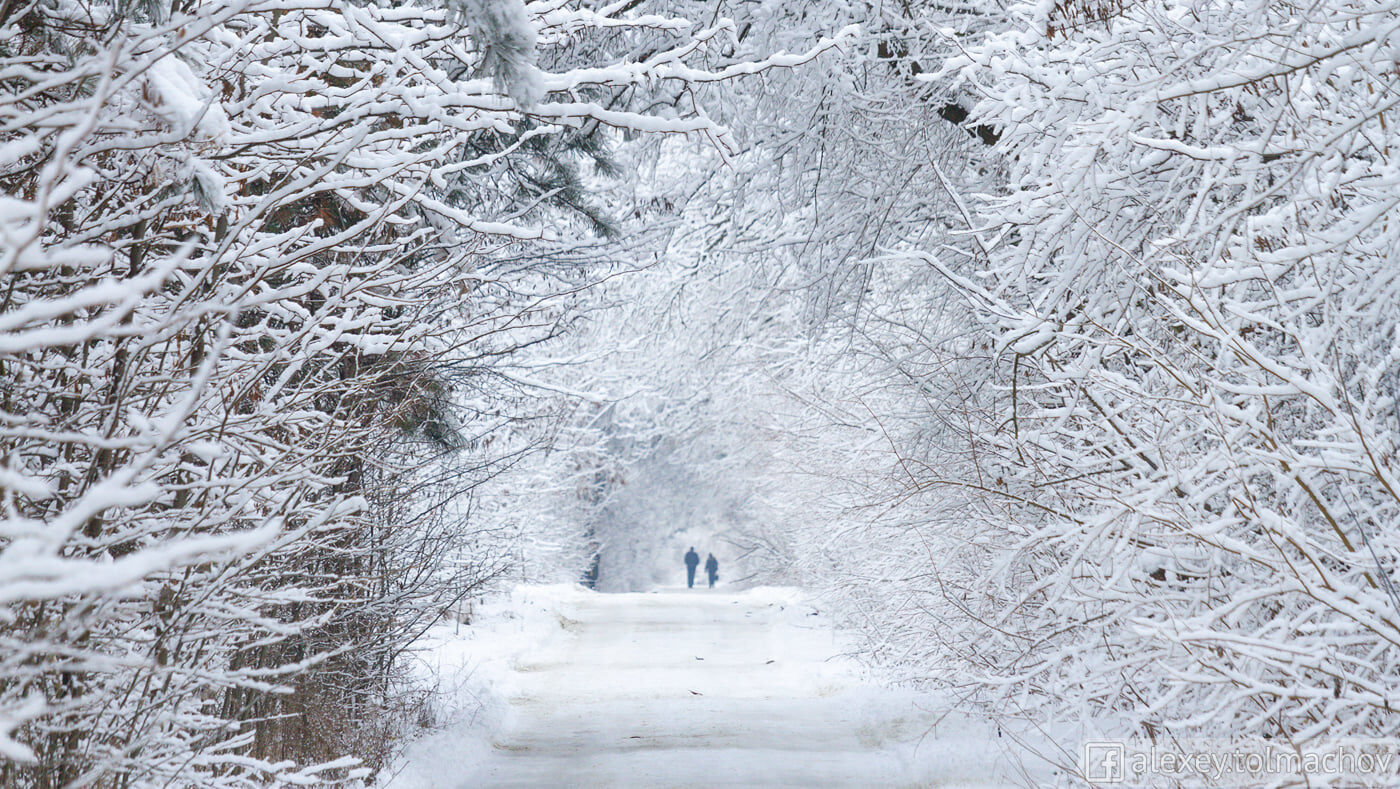 Відомий запорізький фотограф показав казкову зиму на Хортиці, – ФОТОРЕПОРТАЖ