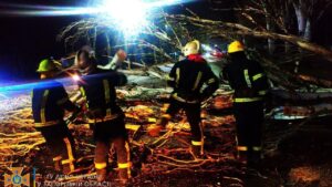 В Мелитополе сваленное дерево заблокировало дорогу, — ФОТО