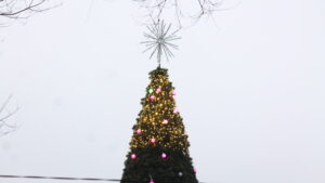 В Запорожье на площади Маяковского установили главную городскую елку, – ФОТО