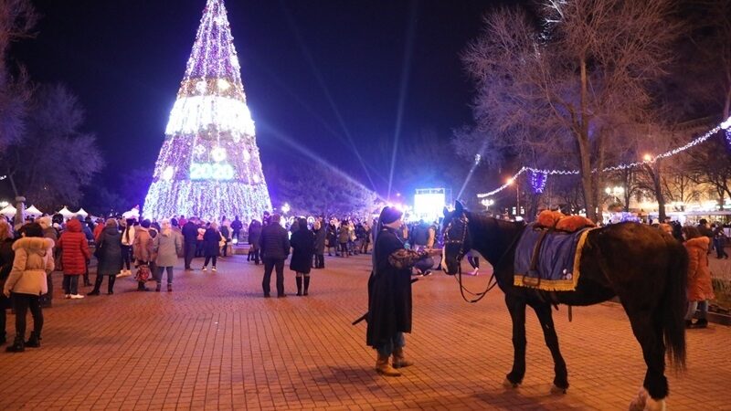 Запорожцев приглашают на открытие главной елки города: что ждет гостей праздника