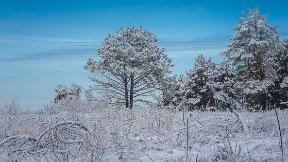 Казкова зима у Запоріжжі: фотографи діляться знімками зимового міста
