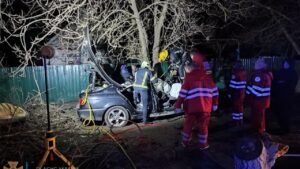В Запорожской области БМВ влетела в дерево: водителя зажало частями разбитого авто