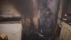 В Запорожье на Правом произошел смертельный пожар: погиб владелец дома, – ФОТО