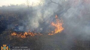За сутки в Запорожской области произошло 30 пожаров в экосистемах, — ФОТО