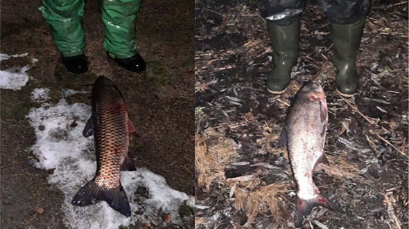 Один и тот же браконьер за сутки дважды попался запорожскому рыбоохранному патрулю