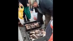 В Енергодарі рибалки безкоштовно роздавали містянам рибу, — ВІДЕО