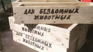 Помочь может каждый: в Васильевке установили кормушки для бездомных животных