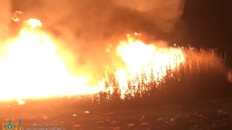 В Запорожье спасатели потушили масштабный пожар на открытой территории, - ФОТО