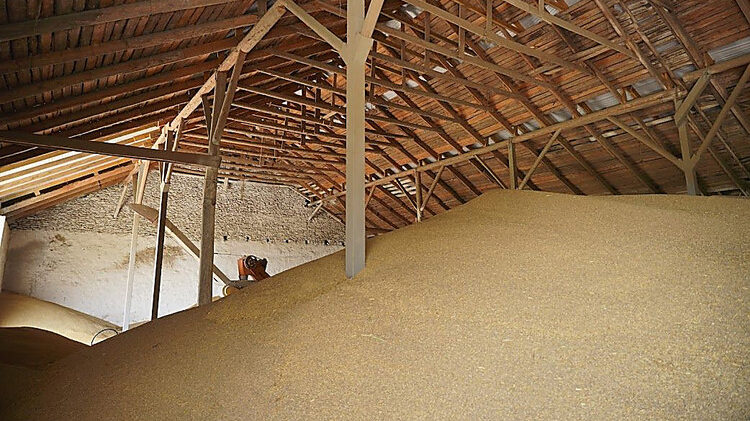 Окупанти тоннами вивозять зерно та мінеральні добрива з елеватора у Запорізькій області