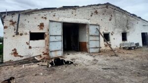На Запоріжжі окупанти обстріляли фермерське господарство: зруйновано будівлі, загинули свійські тварини, – ФОТО 