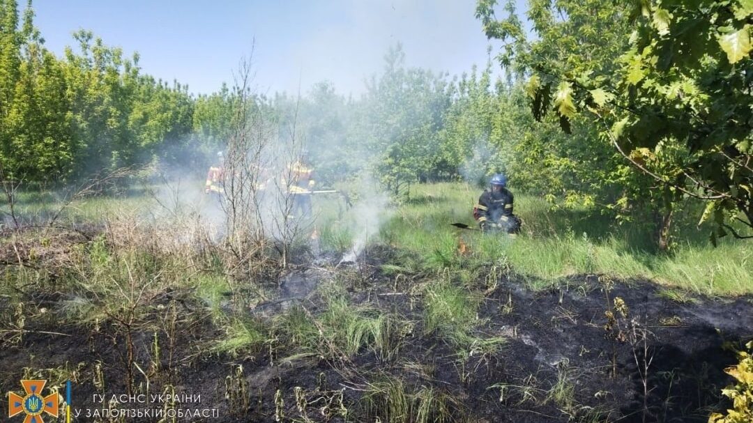Оккупанты обстреляли ракетами траву на Хортице, заявив, что уничтожили подразделение иностранных военных