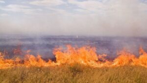 Приватні будинки та поле пшениці: у Запорізькій області внаслідок обстрілів виникли 10 пожеж
