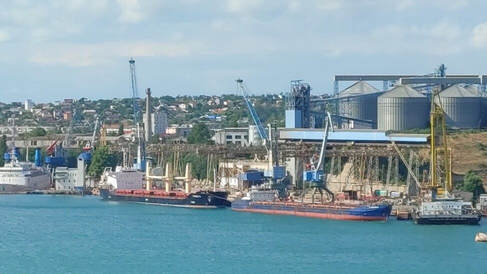 У турецький порт прибув корабель із зерном із окупованого Бердянська