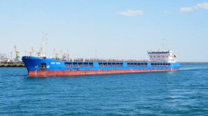 Туреччина відпустила російський корабель з краденим зерном із Бердянська