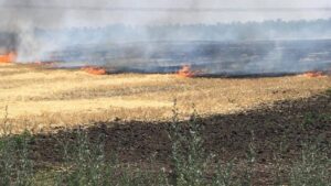 В Запорожской области из-за российских обстрелов сгорело 80 гектаров пшеницы