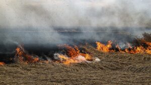 Разрушенные дома, магазины и здание сельсовета, уничтоженный урожай: оккупанты обстреливают населенные пункты Запорожской области