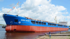 В Турции задержали российское судно с зерном из оккупированного Бердянска