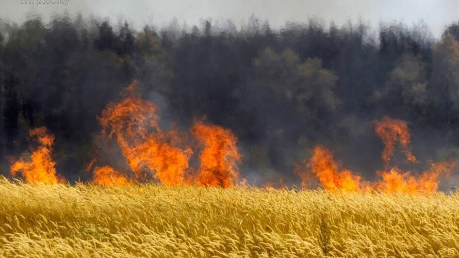 За последние сутки в результате вражеских обстрелов в Запорожской области загорелись два поля с пшеницей