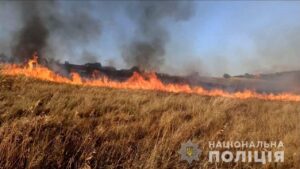 Під Запоріжжям російський обстріл знищив понад 70 гектарів пшениці, – ФОТО 