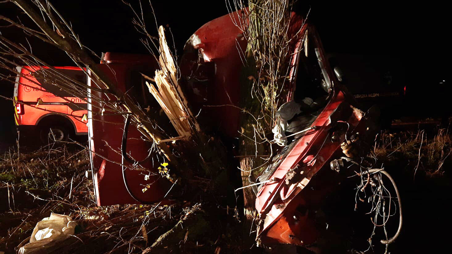 У Запорізькому районі «Жигулі» на швидкості влетіли у дерево: двоє загиблих, – ФОТО