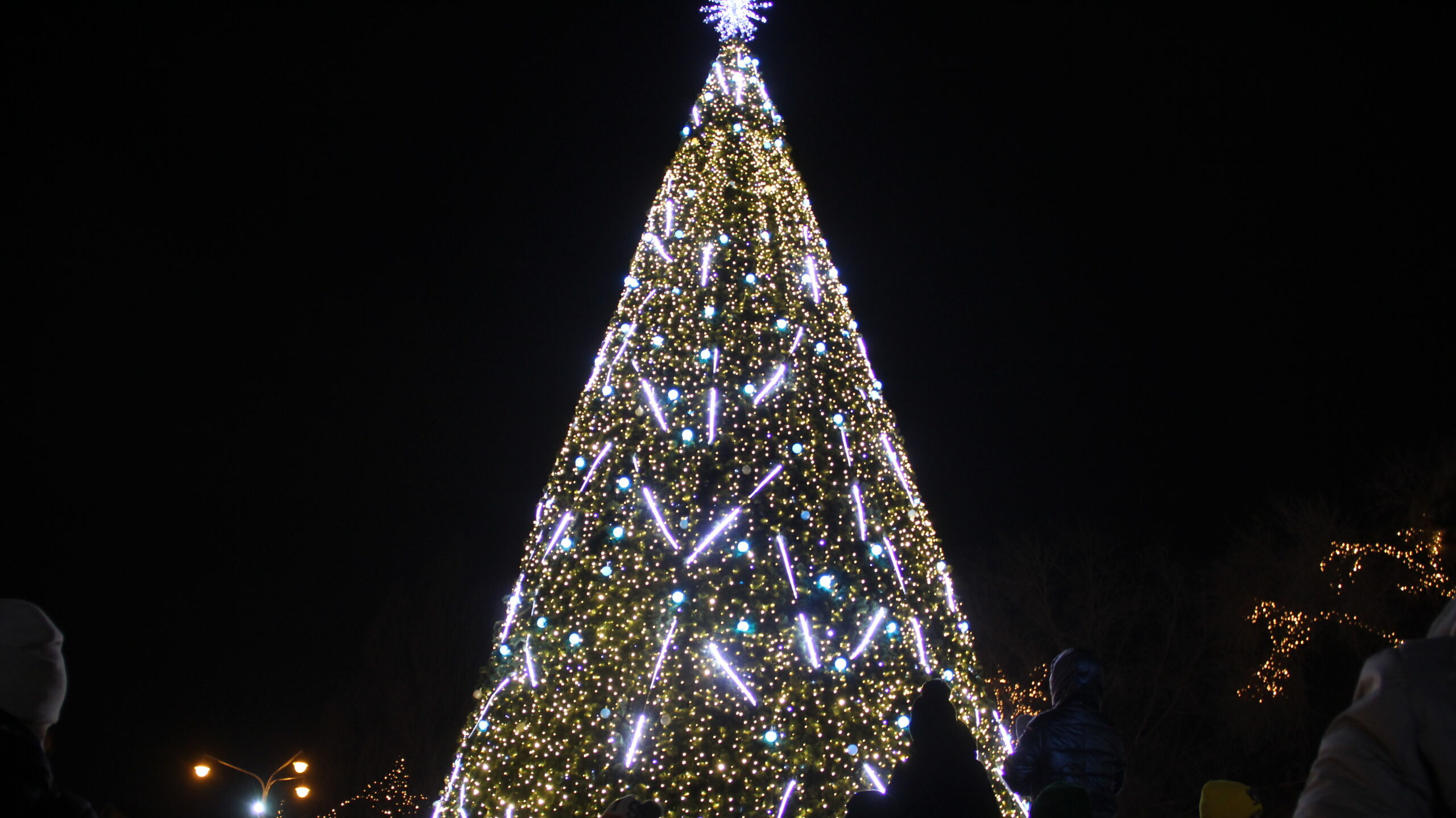 В Запорожье предложили установить новогодние елки в каждом дворе