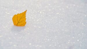Прогноз погоди на вихідні 17–18 грудня: коротке «побачення» зими з весною